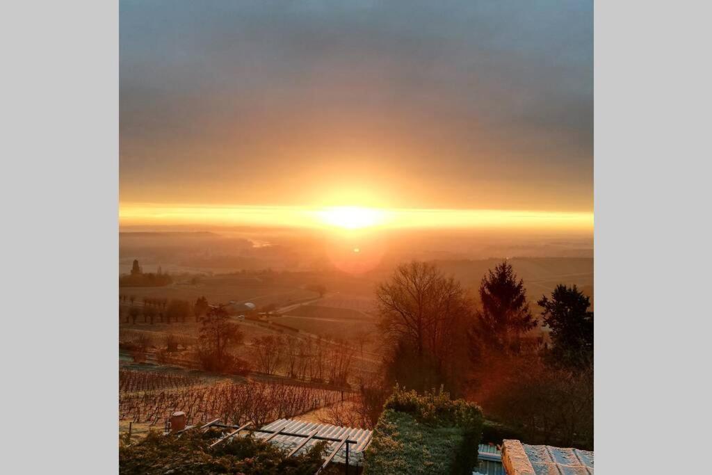 상세르 Vue Panoramique Sur Le Vignoble 아파트 외부 사진