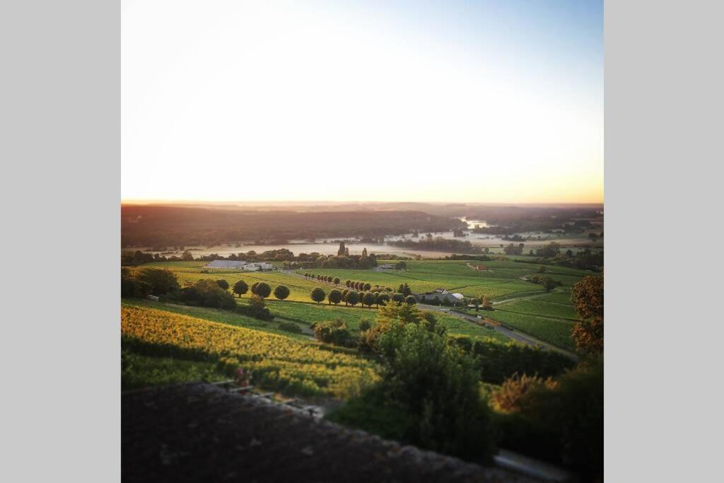 상세르 Vue Panoramique Sur Le Vignoble 아파트 외부 사진