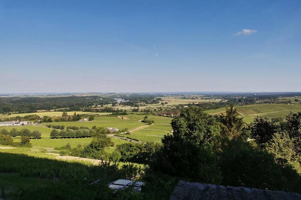 상세르 Vue Panoramique Sur Le Vignoble 아파트 외부 사진